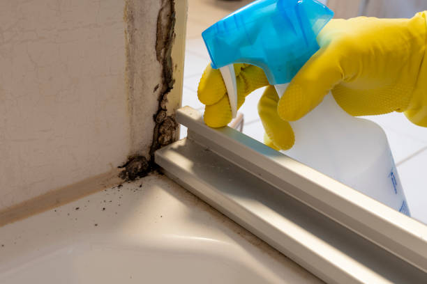 Best Mold Testing and Inspection Services in Gibbstown, NJ