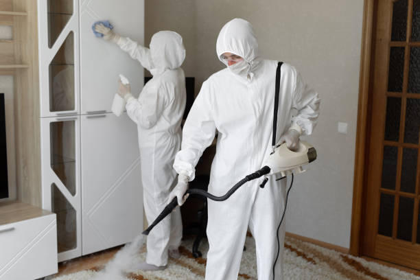 Best Commercial Mold Remediation in Gibbstown, NJ