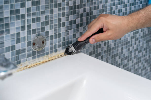 Best Post-Flood Mold Remediation in Gibbstown, NJ